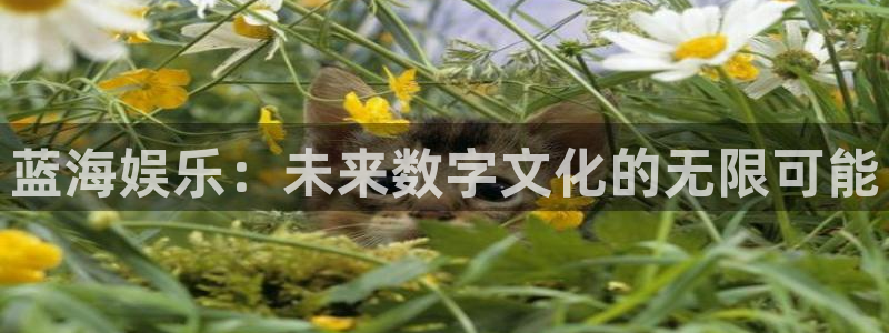 富联娱乐